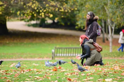 DSC_0621 (Large).JPG